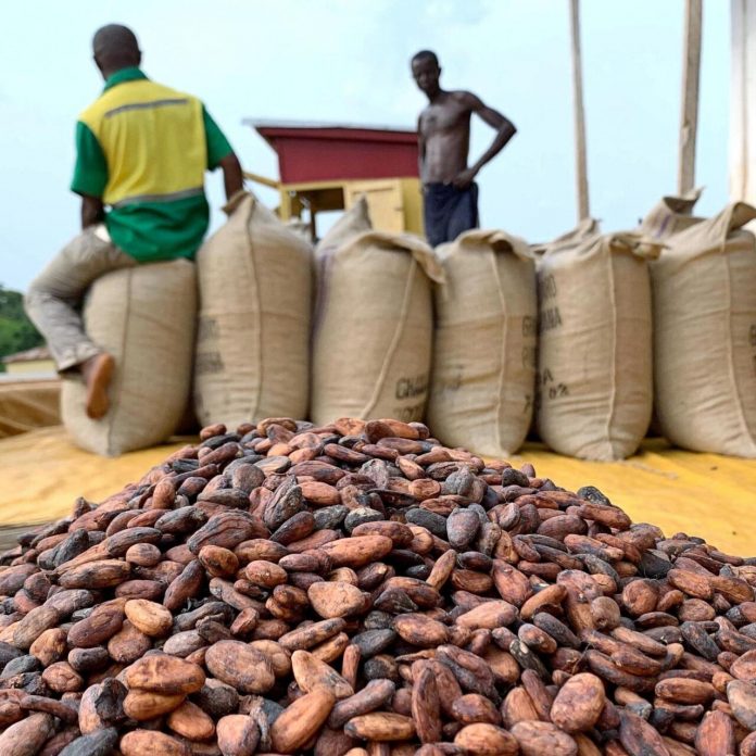 Matières premières : le prix du cacao s’envole à l’international