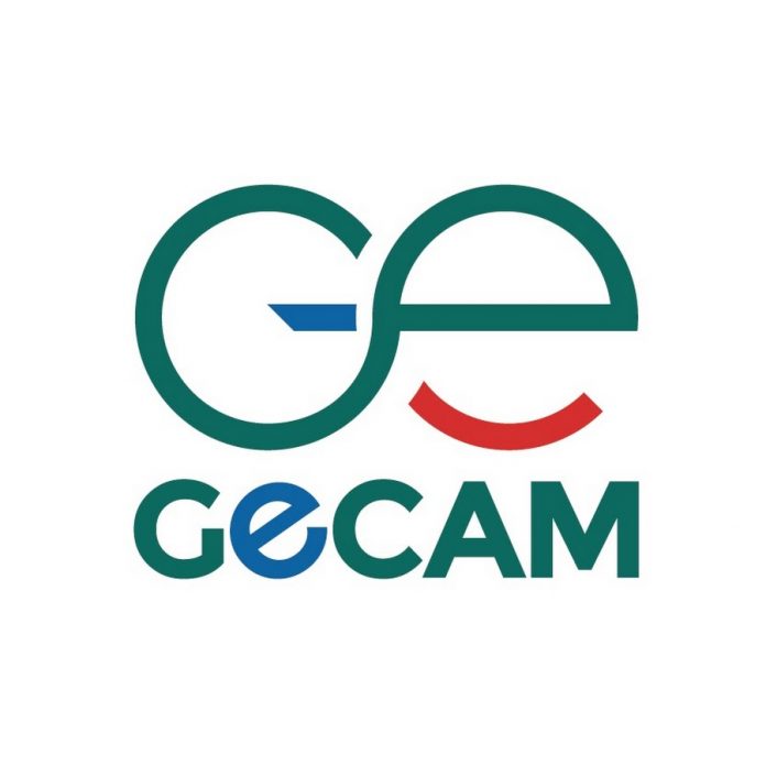 GECAM : Me Simon KACK KACK analyse le processus en place
