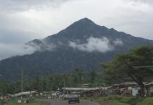 Mont Cameroun