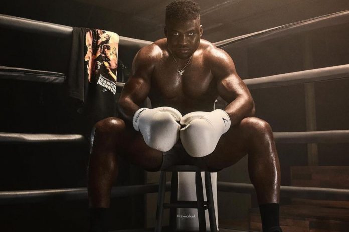 Francis Ngannou défie Anthony Joshua