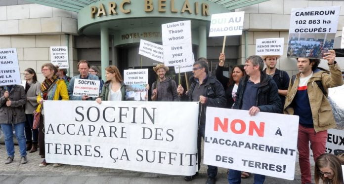 Huile de palme : une holding a versé 142.000 euros aux Camerounais opposés au groupe Bolloré
