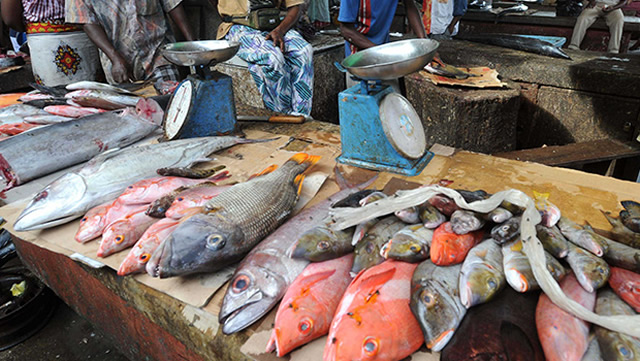 Marché des poissons de Youpwé : bras de fer entre le Minepia et la Cud