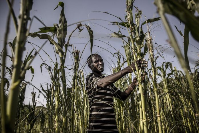 Dette des pays pauvres : les moyens de soulager rapidement existent (Grynspan, ONU)