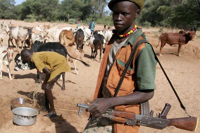 Tchad : 23 morts dans de nouveaux combats entre éleveurs et cultivateurs