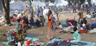 Des déplacés internes plus nombreux au Cameroun