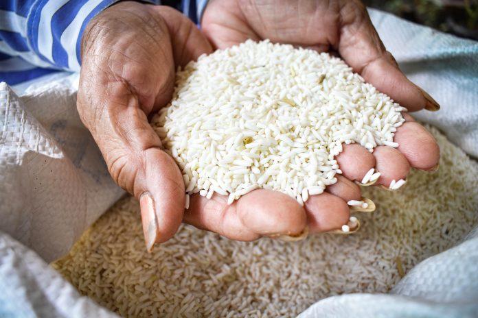 Alimentation : les prix du riz en baisse au Cameroun