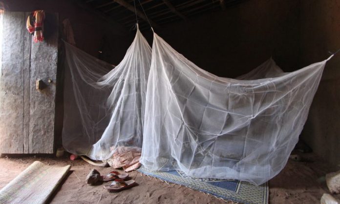Un nouveau type de moustiquaire a « empêché » 13 millions de cas de paludisme en Afrique
