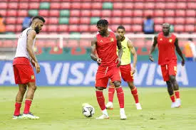 Cameroun-Cap-Vert : Les billets sont en vente par la Fecafoot