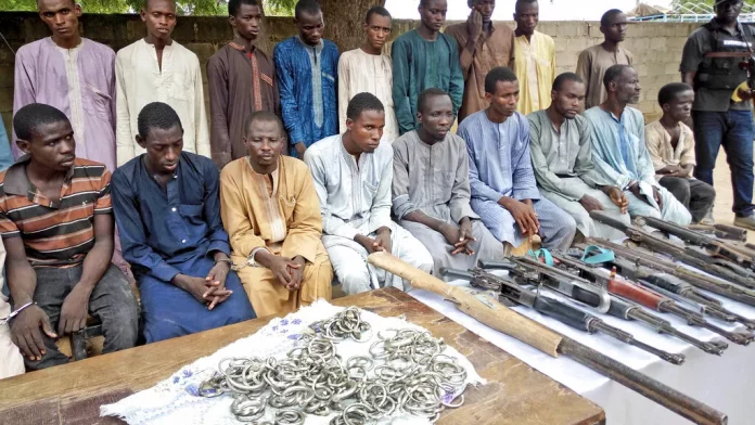 Reddition de membres de Boko Haram au Cameroun et au Niger