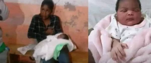 Vol des bébés