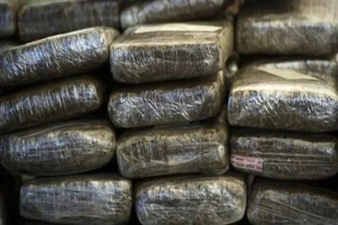 55 kilos de cannabis saisis par la gendarmerie de Yokadouma