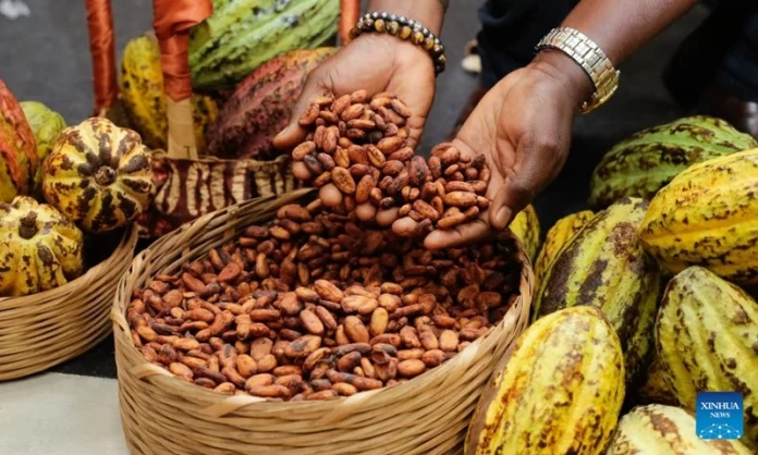 Côte d’Ivoire: le prix du cacao fixé à un niveau record