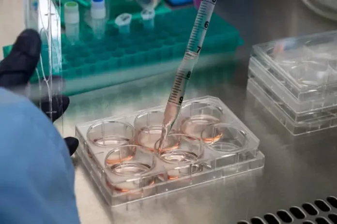 Le rôle de l’immunothérapie conforté dans un nombre croissant de cancers