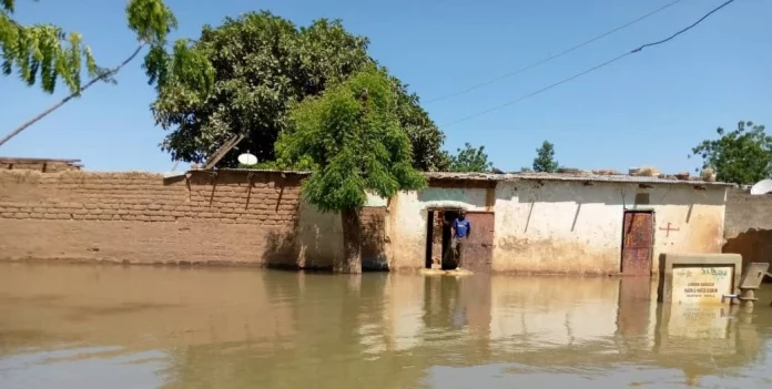Extrême-Nord :les victimes des inondations peuvent attendre