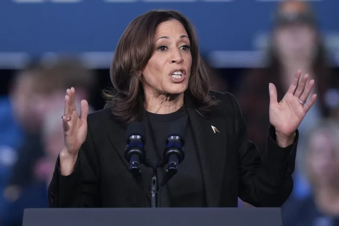Harris soutenue par Lizzo, Trump par Elon Musk