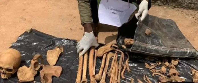 Deux individus appréhendés à Texaco aéroport à Douala avec des ossements humains