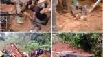 falaise Dschang