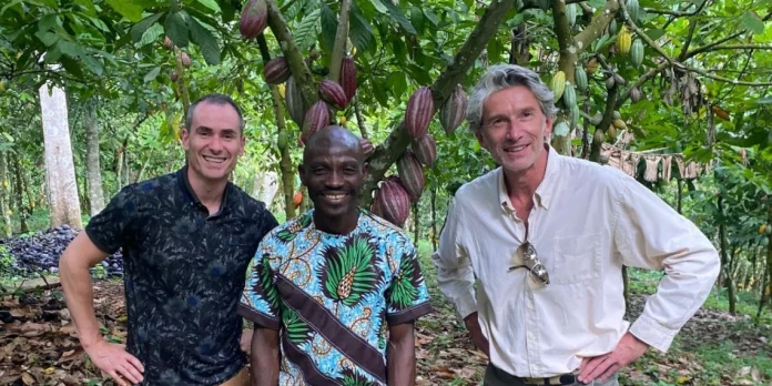 Agro-alimentaire : le cacao camerounais attire la France