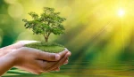 Transition verte