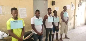 15 présumés criminels