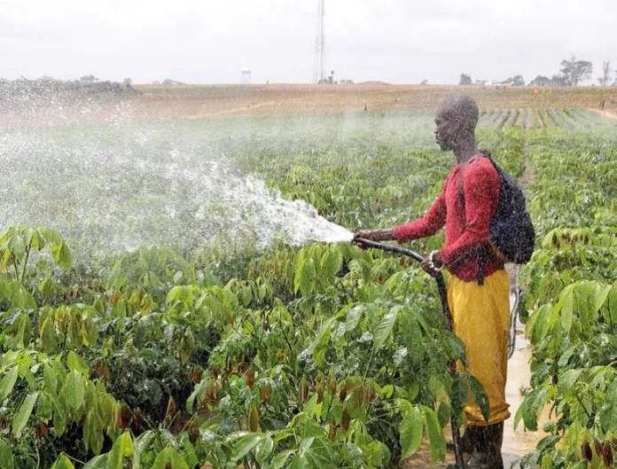 Afrique centrale: comment améliorer les politiques et stratégies agricoles