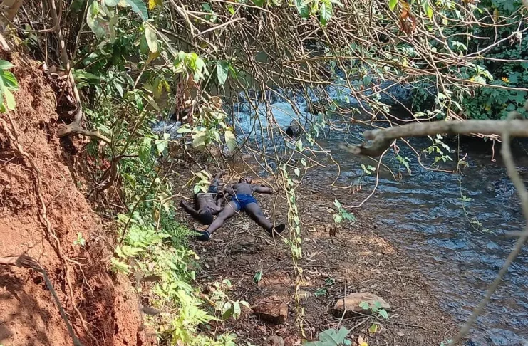 Dschang