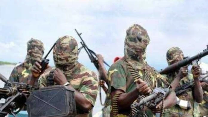 Cameroun : 10 jihadistes tués dans une attaque contre la force armée régionale