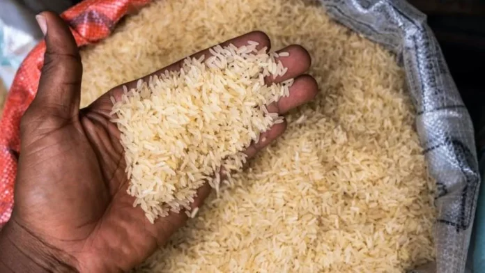 Riz de 50kg à 15 000 FCFA : le gouvernement rassure sur sa qualité