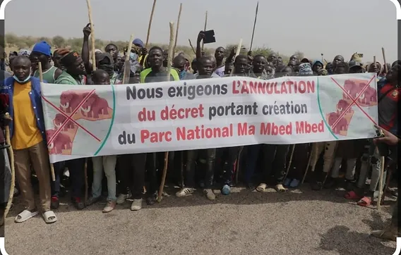 Création du parc Ma Mbed Mbed : Les populations en colère