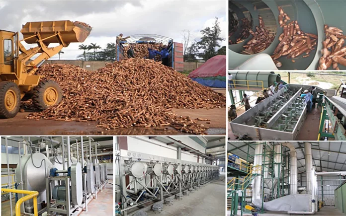 Transformation du manioc : L’usine Sotramas coûte plus chère