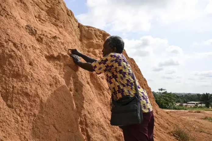 Il y a 150.000 ans à Abidjan, une immense forêt tropicale et déjà l’Homo sapiens