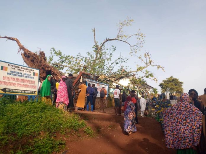 Foumban : Un mort après la chute d’un baobab sur un hôpital