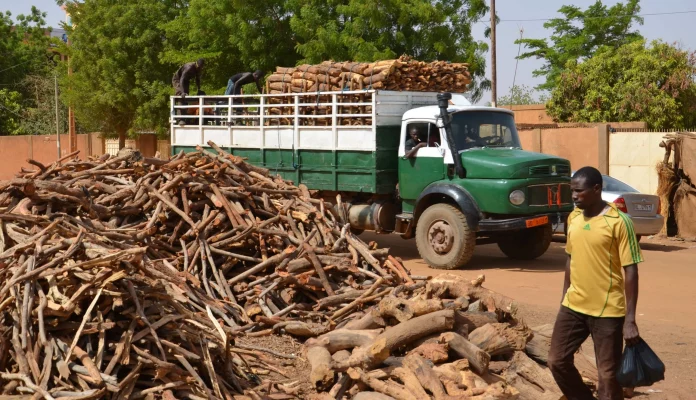 Au Niger, les jihadistes perturbent l’approvisionnement en bois de la capitale