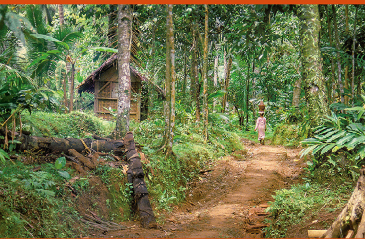 Village Nyabizan
