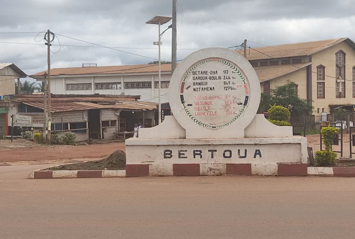 Bertoua : Deux cambrioleurs arrêtés grâce à une vidéo