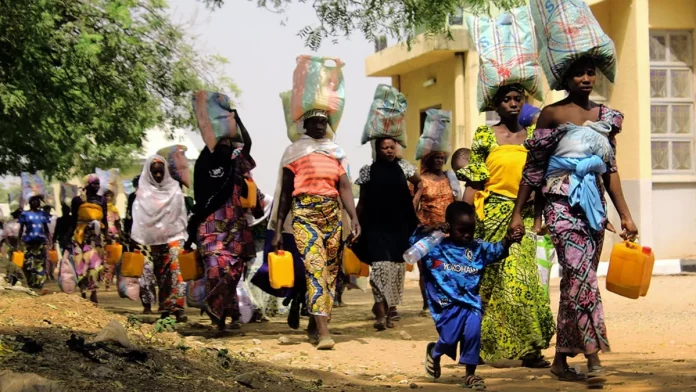 Mayo Tsanaga : Boko Haram attaque deux villages