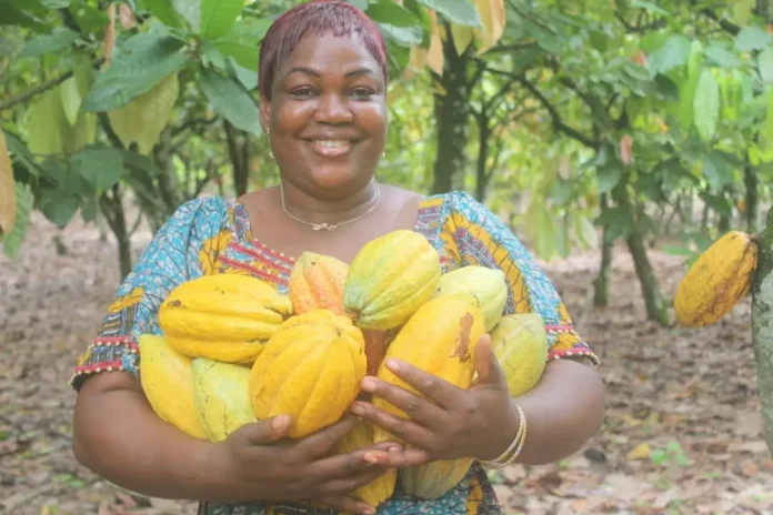 Cacao responsable : la France à la traîne, dénonce un rapport