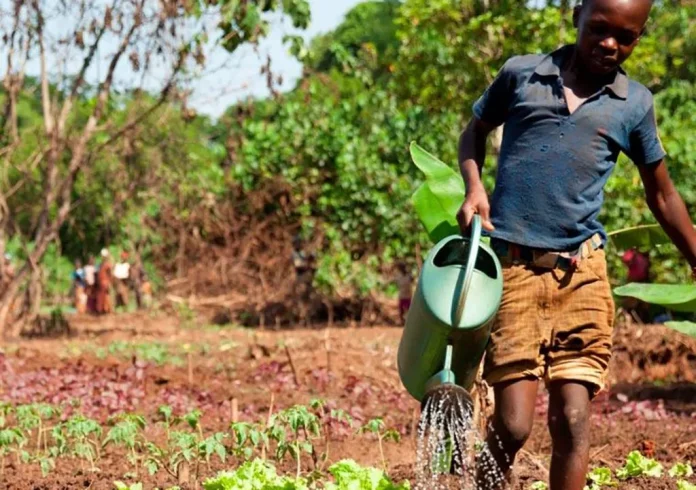Zones rurales : Sous la menace des changements climatiques