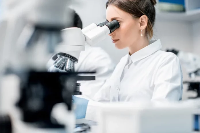 Nobel de médecine : comment notre système immunitaire s’empêche de dérailler