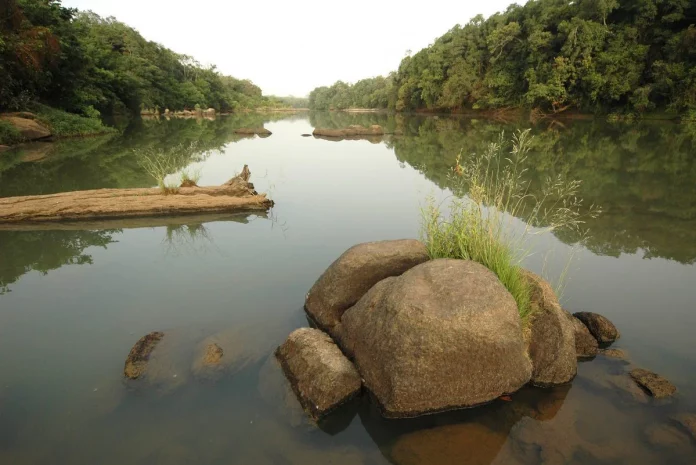 Dévastation et régénération du parc de la Comoé