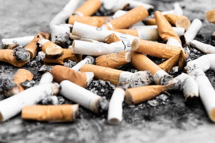 Mégots de cigarette en débat : une conférence mondiale face à l’urgence écologique du tabac