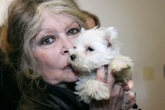 Icône du cinéma et voix des animaux : décès de Brigitte Bardot