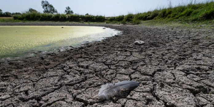 Rapport de l’Onu: L’eau est en état de « faillite mondiale »