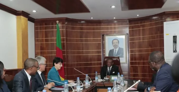 Mission de contrôle : Ce que vient faire le Fmi au Cameroun