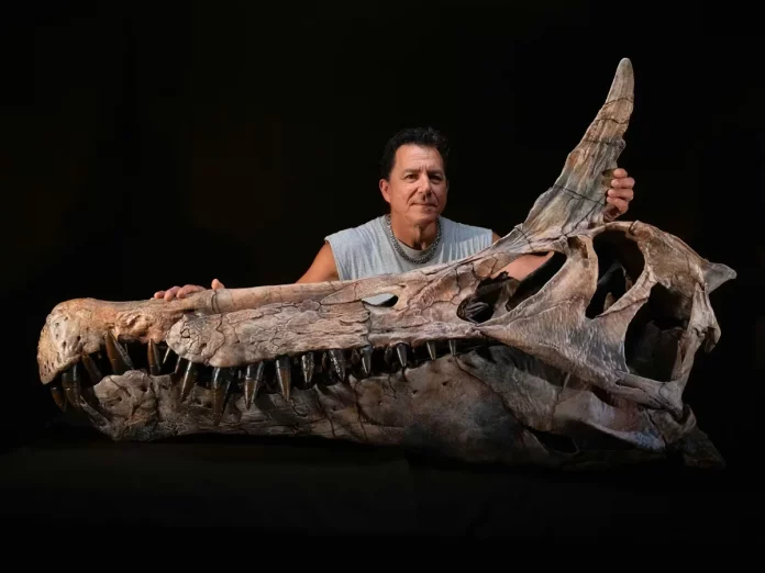 Niger: Découverte d’un dinosaure surnommé le « héron infernal »