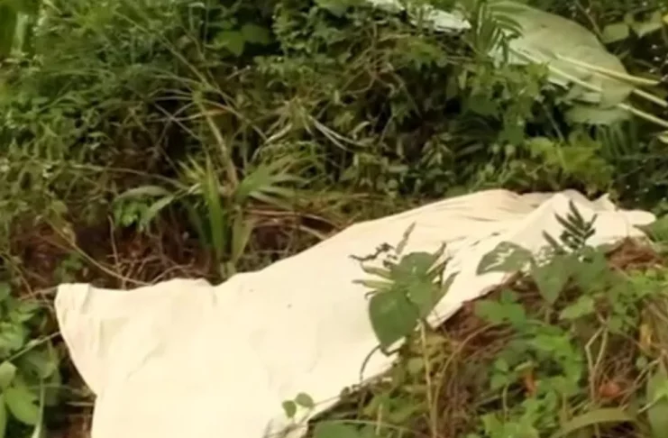Eséka machette